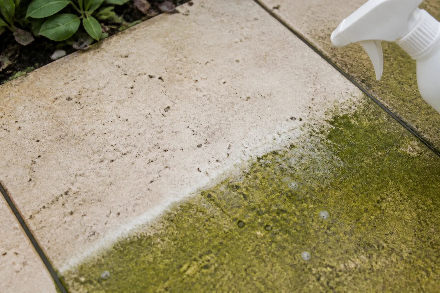 Mousse sur la terrasse en pierre : l'astuce sans frotter