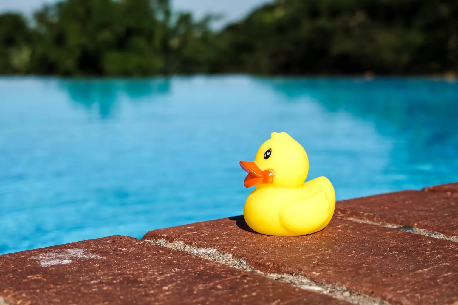 Plage de piscine : transformation avant-après d'un bassin